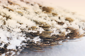 Broom in the snow