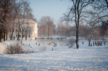 Men, women and children walk in the park, ride down a hill on an inflatable snow tubes on a sunny, frosty winter day.