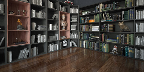 Stanza con grande libreria piena di libri e oggetti, con gatto, rendering 3d, illustrazione 3d © LaCozza