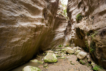 Avakas Gorge valley on Cyprus