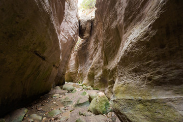 Avakas Gorge valley on Cyprus