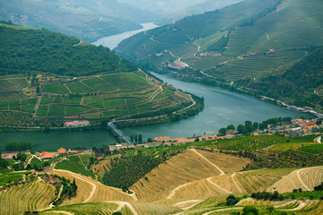 Top view of river, and the vineyards are on a hills, Douro Valley - Portugal.