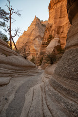 Beautiful American Landscape during a sunny evening. Taken in Kasha-Katuwe Tent Rocks National Monument, New Mexico, United States.