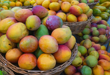 mango fruits