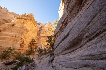 Fototapeta na wymiar Beautiful American Landscape during a sunny day. Taken in Kasha-Katuwe Tent Rocks National Monument, New Mexico, United States.