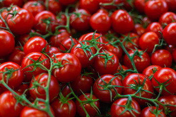Tomatoes at the market