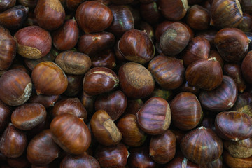 Roasted Chestnut Background