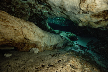 Beautiful view of an underwater cave formation. Taken in 7 Sisters Springs, Chassahowitzka River, Florida, United States of America.