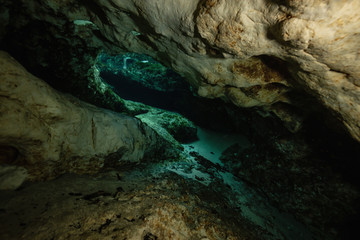 Fototapeta premium Beautiful view of an underwater cave formation. Taken in 7 Sisters Springs, Chassahowitzka River, Florida, United States of America.
