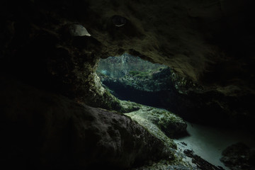 Fototapeta na wymiar Beautiful view of an underwater cave formation. Taken in 7 Sisters Springs, Chassahowitzka River, Florida, United States of America.