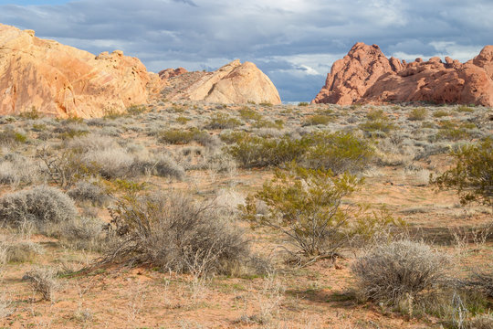 Valley of Fire State Park in Utah