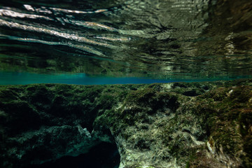 Beautiful view of an underwater cave formation. Taken in 7 Sisters Springs, Chassahowitzka River, Florida, United States of America.