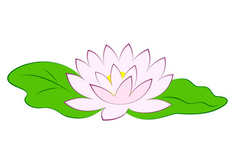 Beautiful pink lotus flower with green leaves in pond. Poster with water lily vector illustration isolated on white background.