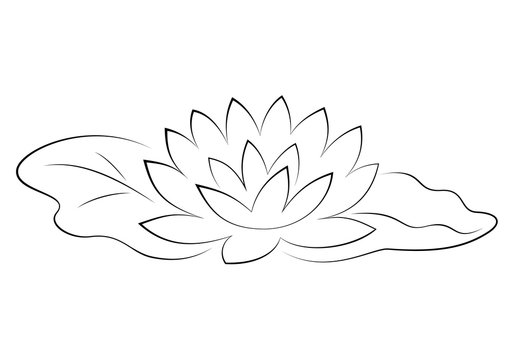 Beautiful lotus flower black silhouette with leaves in pond. Poster with water lily vector illustration isolated on white background.