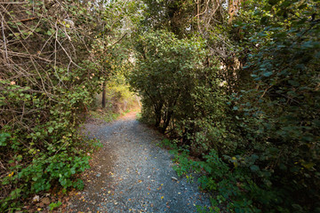 Hiking trail Millomeris waterfall Cyprus