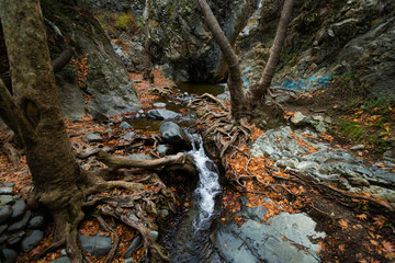 Hiking trail Millomeris waterfall Cyprus