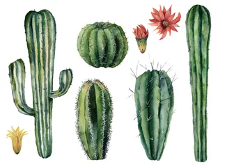 Raamstickers Cactus Aquarel cactussen en bloemen set. Handgeschilderde dessert planten geïsoleerd op een witte achtergrond. Botanische illustratie voor ontwerp, print of kaart