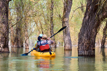 Married couple paddle a yellow kayak in wilderness areas at Danube river among flooded forest at spring high water on Danube biosphere reserve. Spring kayaking and water tourism