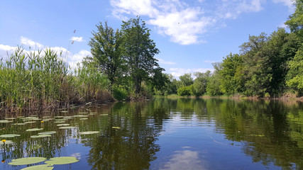 Fototapeta premium Sunny day on the quiet river