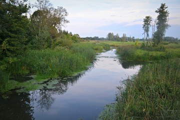 Spływ Narewką, Białowieża