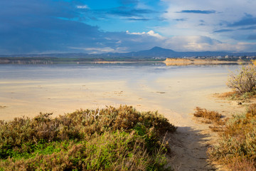 Salt Lake with flamingos Larnaca