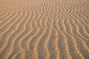 Piasek na wydmach w Słowińskim Parku Narodowym. Riplemarki w zachodzącym słońcu.