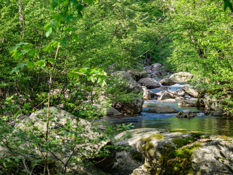 Riale Pianezzoli stream in Val Grande National Park