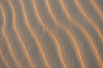 Piasek na wydmach w Słowińskim Parku Narodowym. Riplemarki w zachodzącym słońcu.