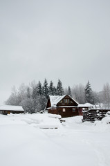 Pines in the snow, beautiful winter landscape, mountains covered with snow, Carpathians