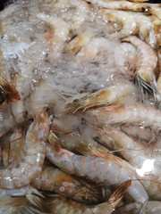 Banana shrimp are frozen in the cooling cabinet in the supermarkets