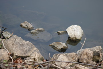 Closeup rocks clearwater