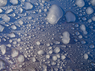 Frozen Water Droplets on a cold morning. Abstract blue background