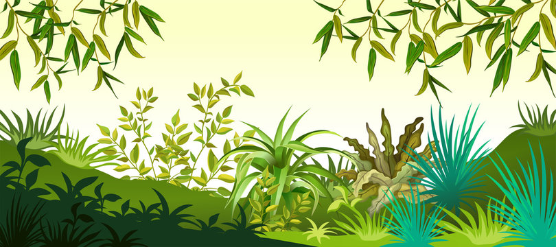 Background with plants forest. Landscape with leafs trees and grass. Vector illustration.