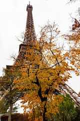 Europe, France, Paris , tower Eiffel