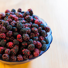 Wild Blackberry Bowl Overhead