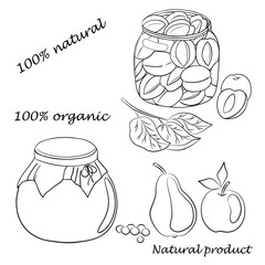 Vector hand drawn illustration of conservation apricot, apple, pear