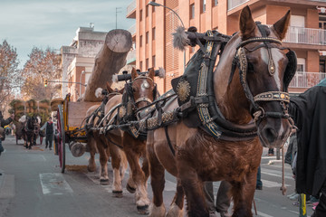 Naklejka na ściany i meble Working horses pulling a car loaded with a big trunk in the city