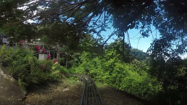 Fun on the bobsleigh track. man enjoy bobsled rides.