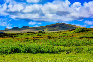 exploring easter island