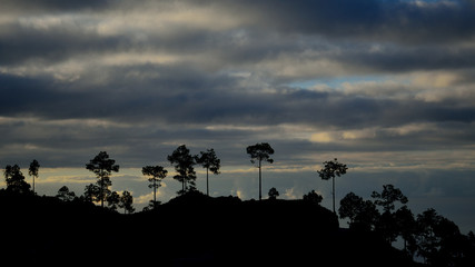 Natural park of Pilancones during the dawn, Gran Canaria, Canary Islands