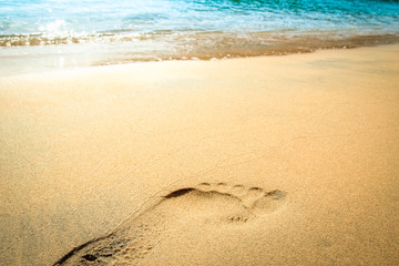 Beautiful footprints on the beach in nature by the sea