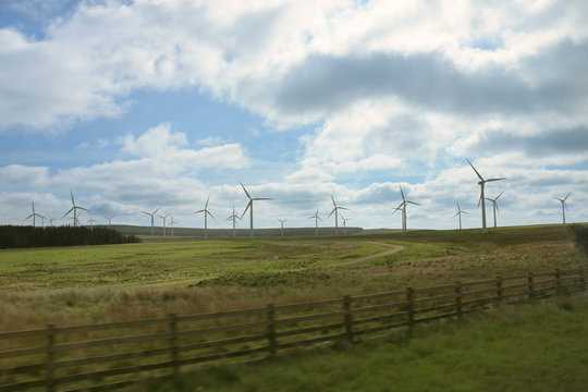 Wind turbines in green field and blue sky