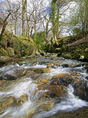 Buttermere stream, The Lake District, Cumbria
