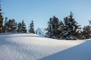 Fototapeta na wymiar verschneite Winterlandschaft in Österreich