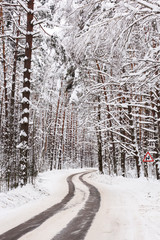 Empty winding road in winter forest. Quiet winter landscape
