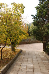 Autumn in the Crimea. Travels. Golden autumn. sunny day