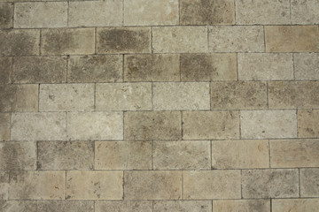 Fototapeta premium Texture of paving slabs