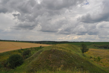 landscape with green field and blue sky