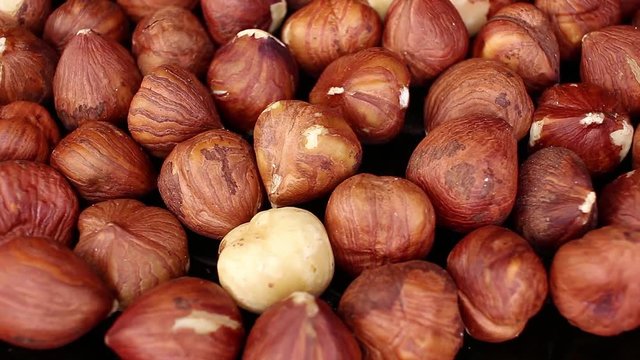 Haselnuss Hazelnut seamless looping background closeup video