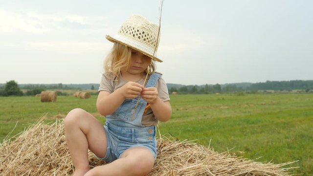 Funny child sits on haystack on farmer field. Adorable little girl is playing with straw sitting on hay. Farmer daughter walking in field